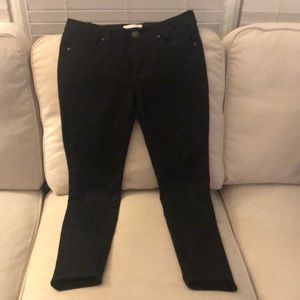LOFT Jeans Petite